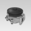 LANCIA 0000071737990 Water Pump